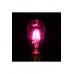 PEMBE IŞIK RENGİ 6W ST64 LED AMPUL